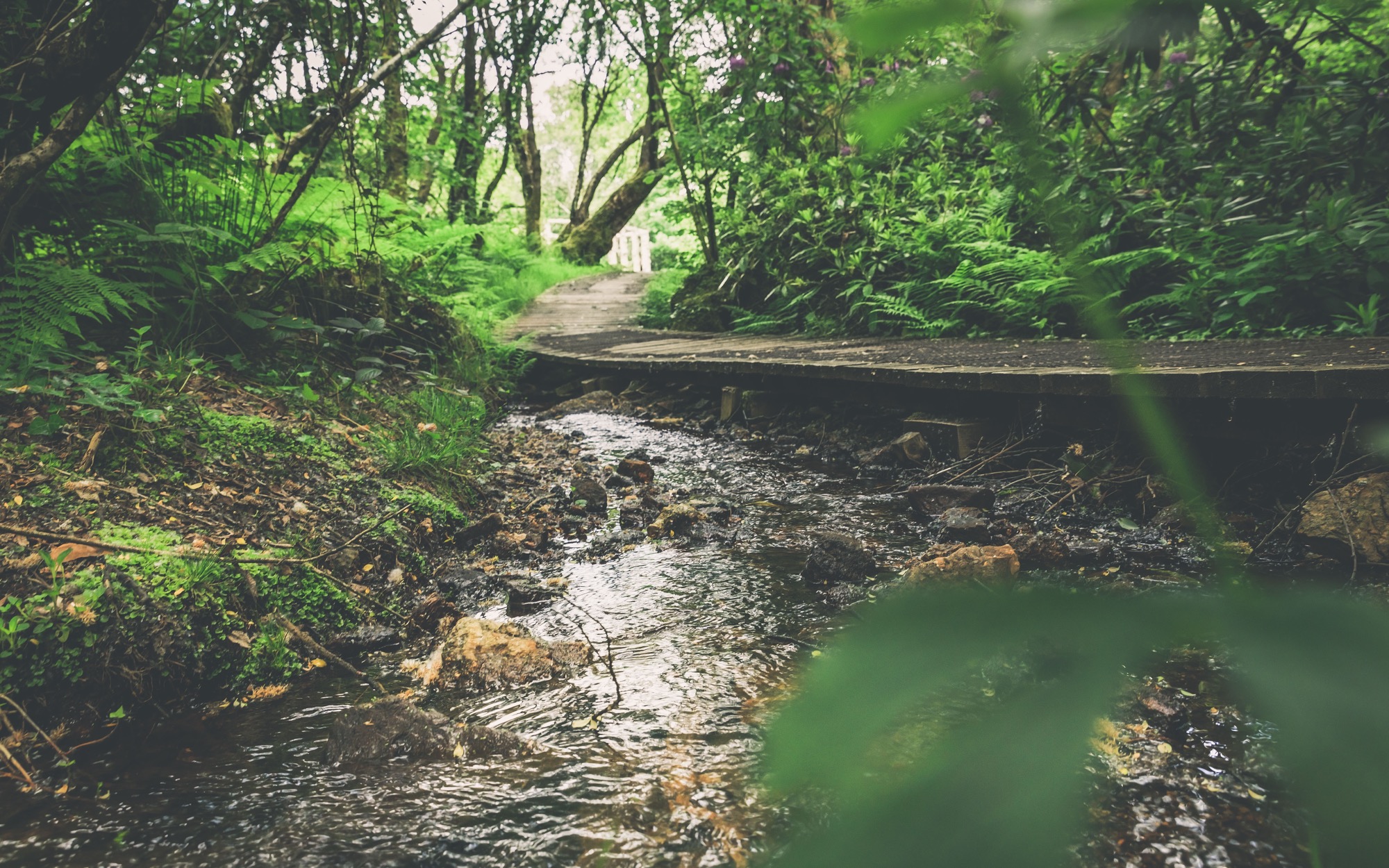 Adventure Lodge - the stream